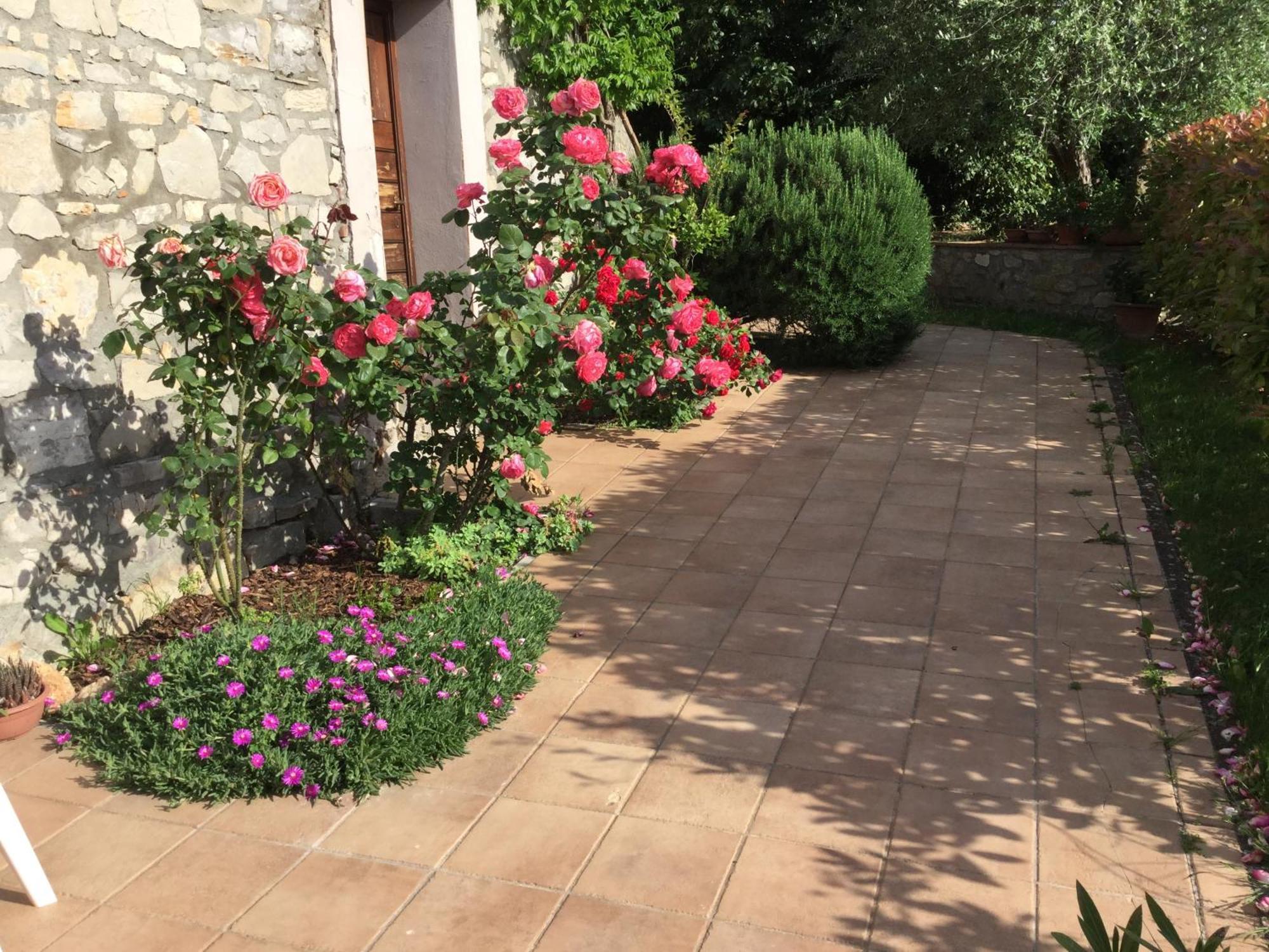 Le Macchie Villa Baschi Exteriör bild
